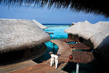 Coco Bodu Hithi