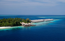 Coco Bodu Hithi