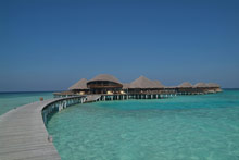 Coco Bodu Hithi