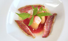 Casa Angelina Lifestyle (ex.Casa Angelina)