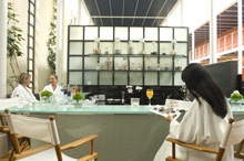 Victoria Jungfrau Grand Hotel & Spa