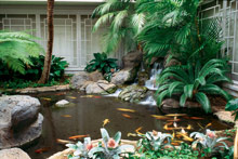 The Fairmont Orchid Hawaii