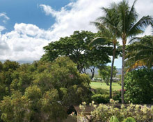 Four Seasons Resort Maui at Wailea