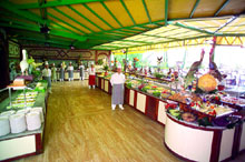 Armas Kaplan Paradise