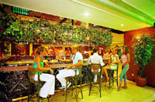 Armas Kaplan Paradise