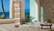 Hyatt Regency Maui Resort & Spa