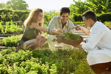 Shanti Maurice A Nira Resort