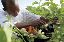 Shanti Maurice A Nira Resort