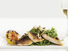 The Plaza Hotel New York