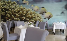 Avantgarde Resort(ex.Vogue Hotel Avantgarde)