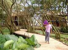 Tangerine Beach Hotel