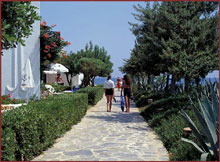 Waterfront Bungalows