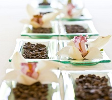 Discovery Shores Boracay