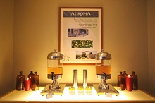 Discovery Shores Boracay