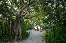 Coco Palm Dhuni Kolhu