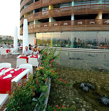 Главный ресторан