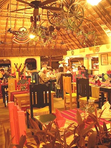 Occidental Allegro Playacar