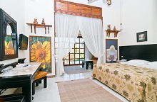 Jungle Aqua Park(ex.Albatros Jungle Aqua Park)