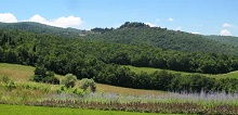 Castiglion del Bosco