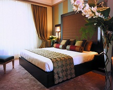 Grand Visconti Palace