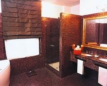 Grand Visconti Palace