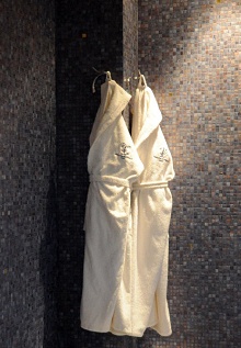 Grand Visconti Palace