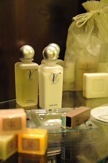 Grand Visconti Palace