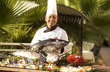 Aydinbey Gold Dreams