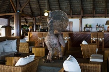 Gangehi Island Resort