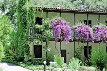 Amara Club Marine Nature