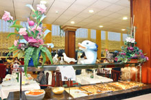 Hotel Palas Pineda(ex.Palas Pineda)