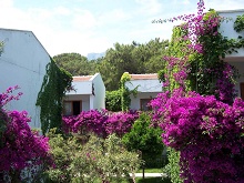 Club Boran Mare Beach