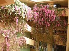 Justiniano Club Park Conti