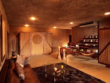 Sabi Sabi Earth Lodge