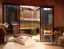 Sabi Sabi Earth Lodge