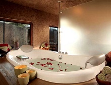 Sabi Sabi Earth Lodge