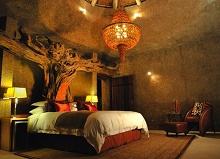 Sabi Sabi Earth Lodge