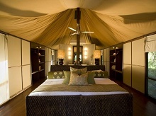 Ngala Tented Camp