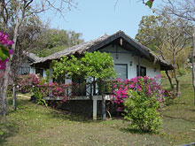 Cottage Bungalow