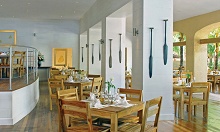 Mauricia Beachcomber