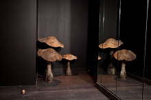 La Maison Champs Elysees