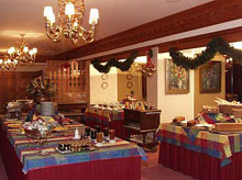 Alpes Hotel du Pralong