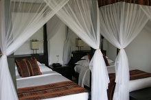 Diamonds Dream of Zanzibar