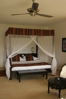 Diamonds Dream of Zanzibar