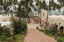 Diamonds Dream of Zanzibar