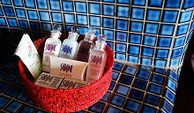 Serengeti Sopa Lodge