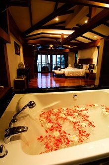 The Village Coconut Island