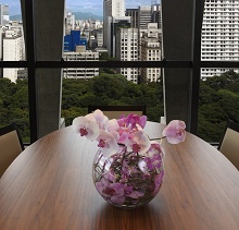 Tivoli Sao Paulo - Mofarrej