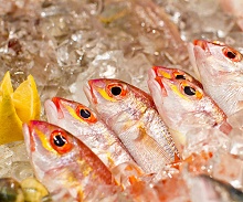 Al Hamra Residences(ex.Al Hamra Palace Beach Resort)