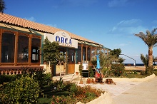 Sunny Days El Palacio